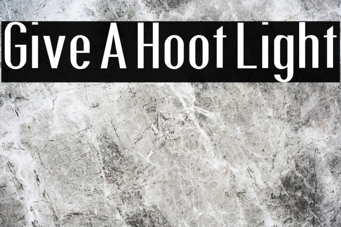 Give A Hoot Light Example 1