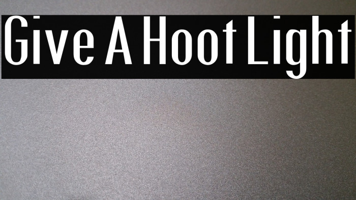 Give A Hoot Light Example 2