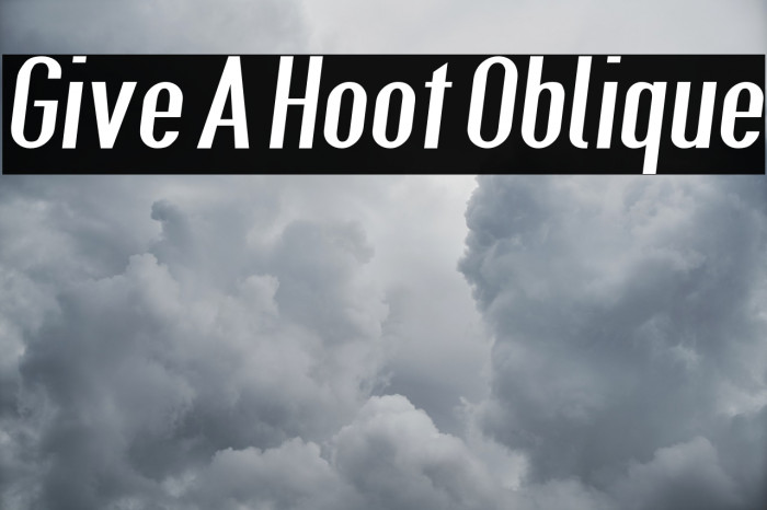 Give A Hoot Oblique Font examples