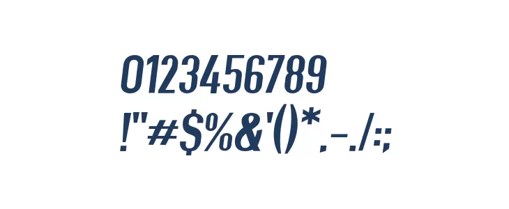 Give A Hoot Semibold Extended Oblique Font OTHER CHARS