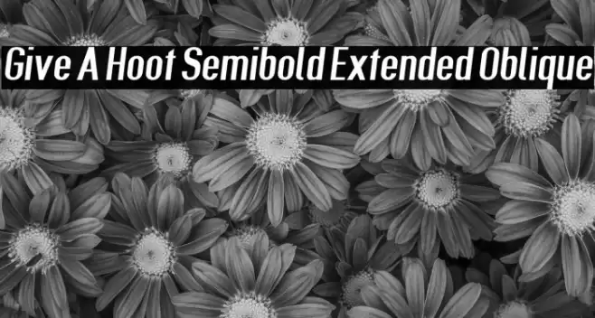 Give A Hoot Semibold Extended Oblique Font examples