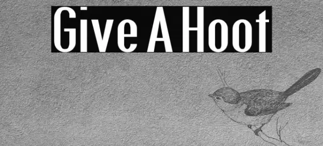 Give A Hoot Font examples