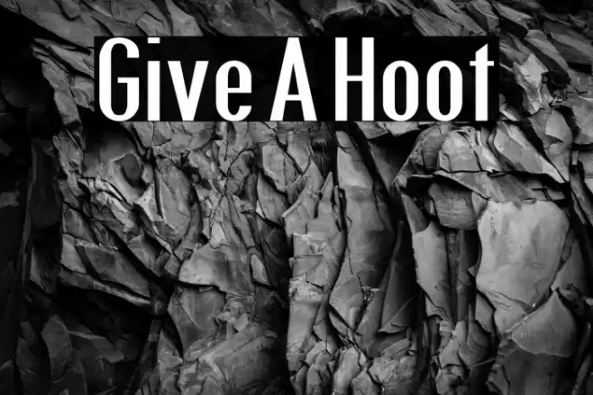 Give A Hoot Font examples