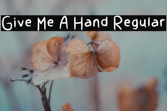 Give Me A Hand Regular Example 2