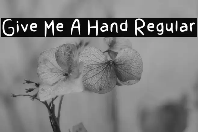 Give Me A Hand Regular Font examples