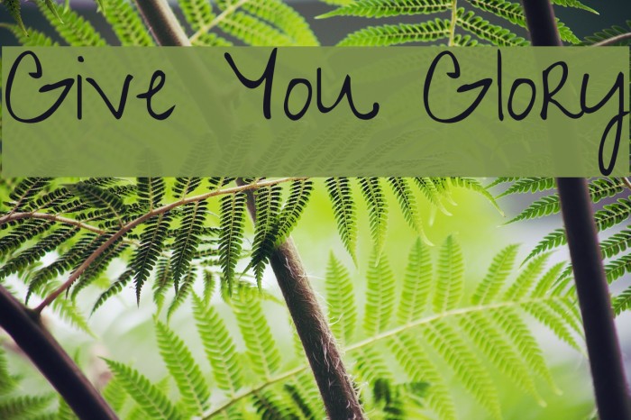 Give You Glory Example 2