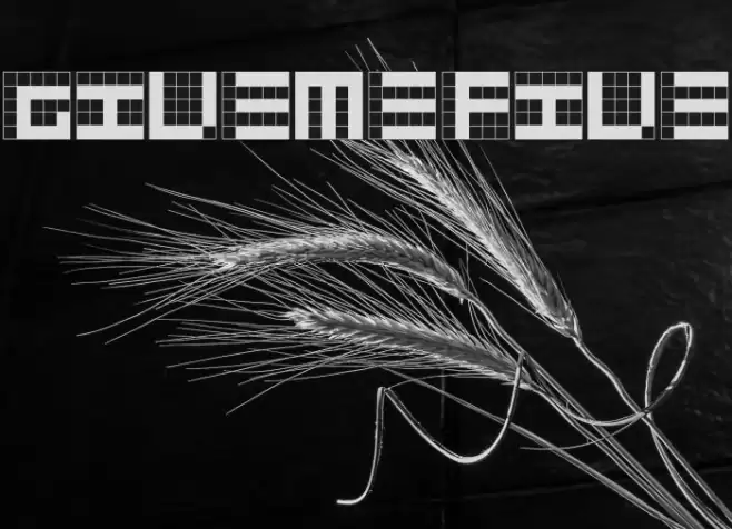 GiveMeFive フォント examples