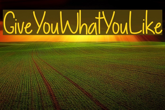 GiveYouWhatYouLike Font examples