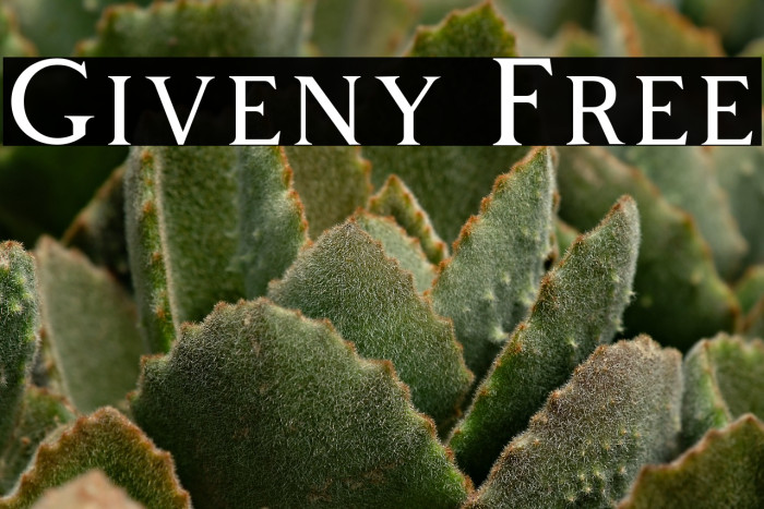 Giveny Free Example 3