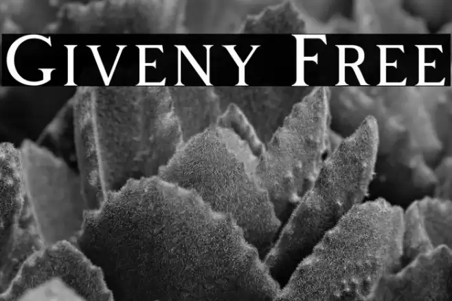 Giveny Free Font examples