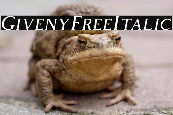GivenyFree-Italic Example 1