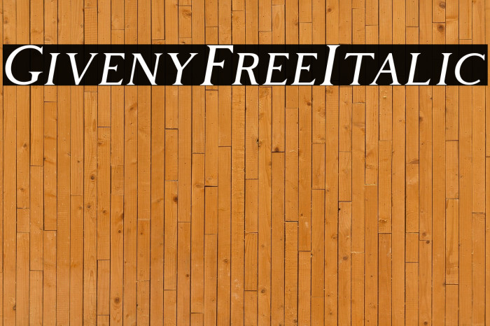 GivenyFree-Italic Example 3