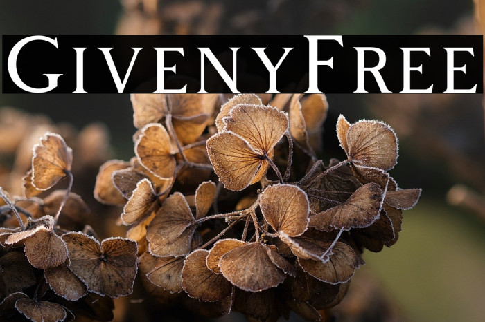 GivenyFree Example 2