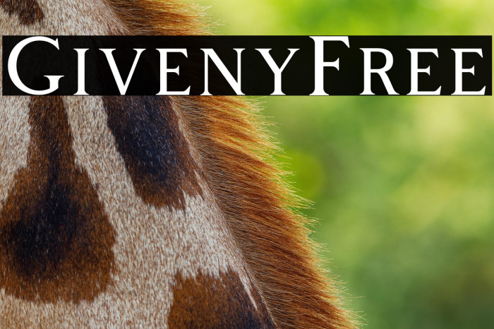 GivenyFree Example 3