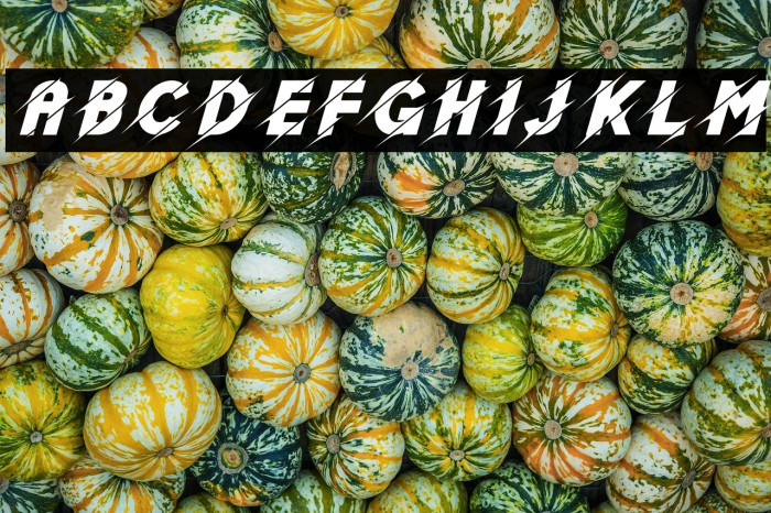 GiverMade-Italic Example 2