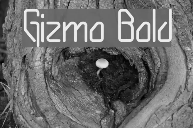 Gizmo Bold Polices examples