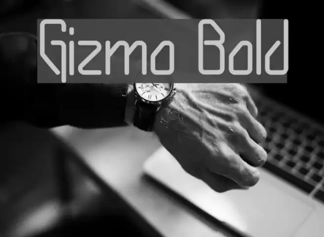 Gizmo Bold Polices examples