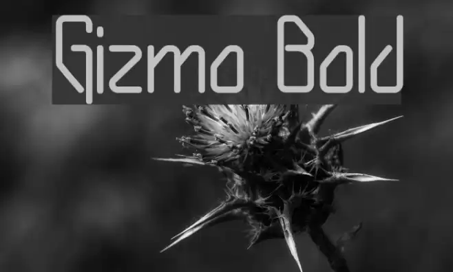 Gizmo Bold Polices examples