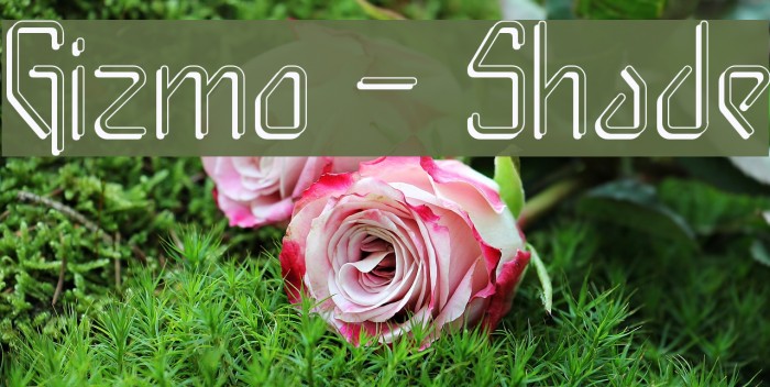 Gizmo - Shade Font examples