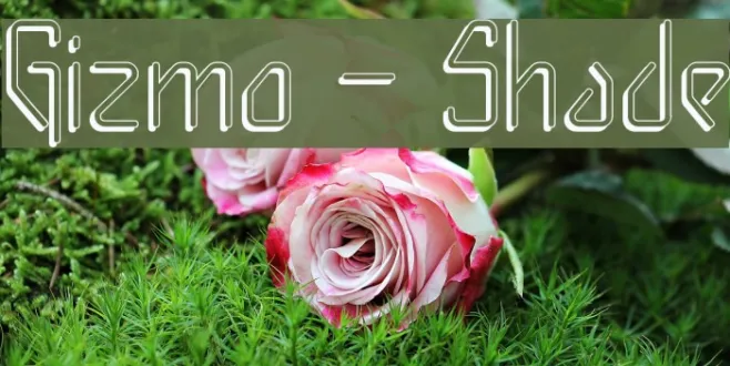 Gizmo - Shade Example 2