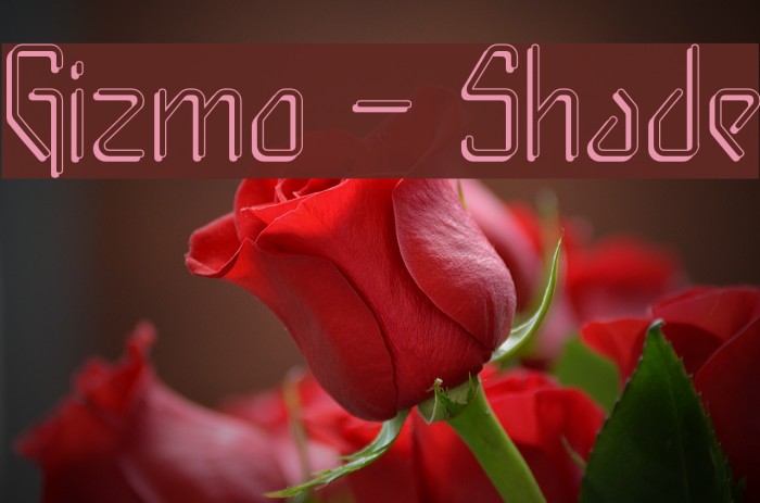 Gizmo - Shade Font examples