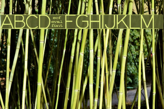 gifford [eval] Example 1