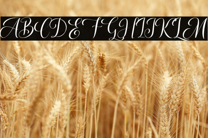 gildane hyme Example 2