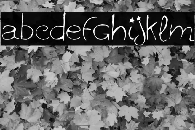 ginolib* Font examples