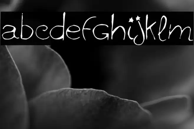 ginolib* Font examples