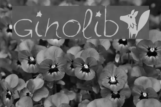 ginolib* Font examples
