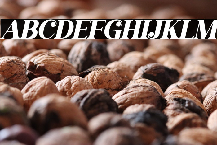 gisrida Italic Example 1