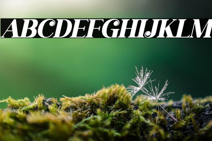 gisrida Italic Example 2