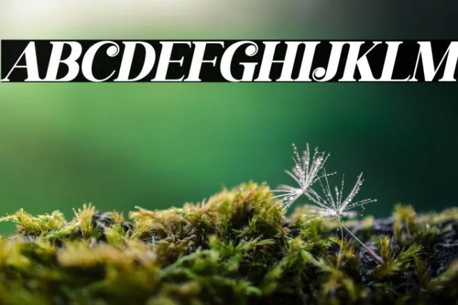 gisrida Italic Example 2