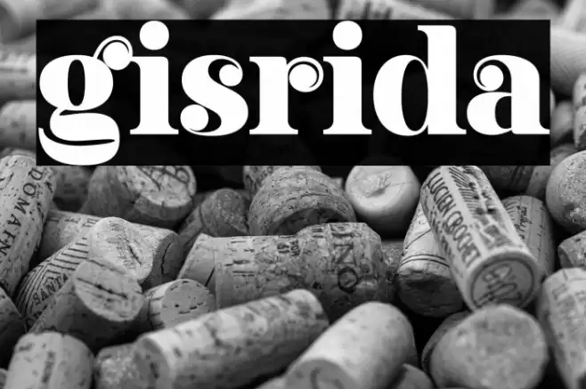 gisrida Font examples