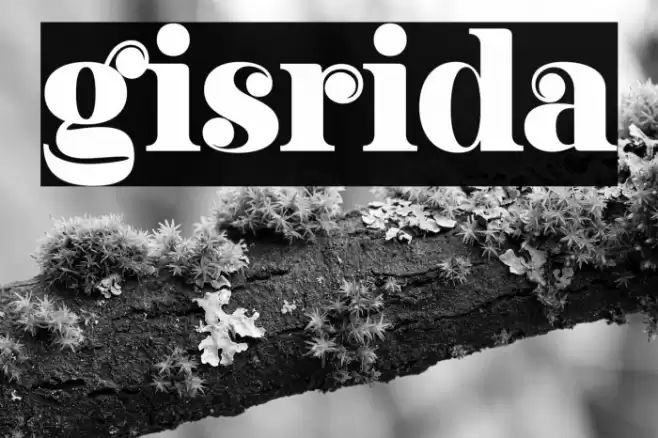 gisrida Font examples