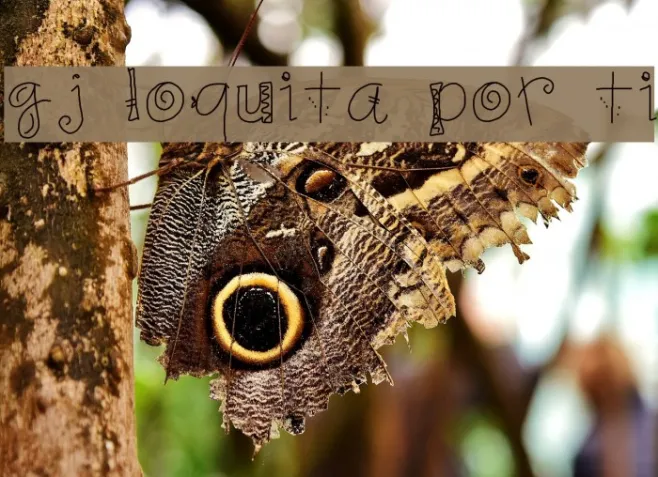 gj loquita por ti Example 1