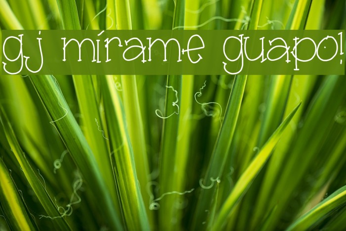 gj mírame guapo! Font examples