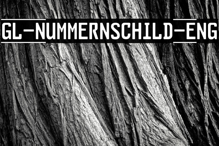 GL-Nummernschild-Eng Example 1