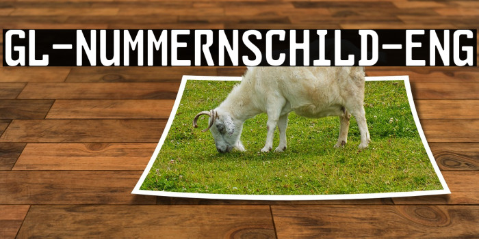 GL-Nummernschild-Eng Example 1