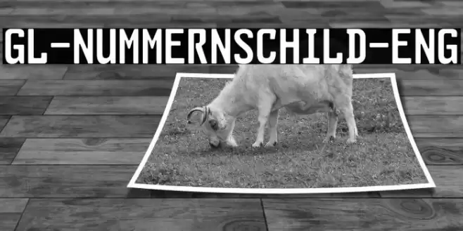 GL-Nummernschild-Eng Font examples