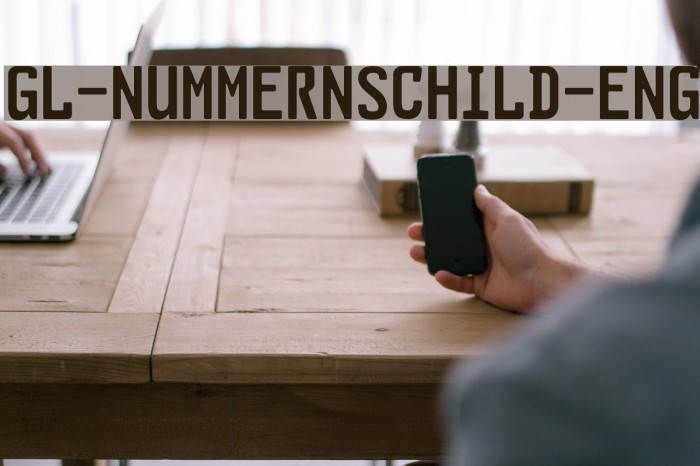 GL-Nummernschild-Eng Example 1