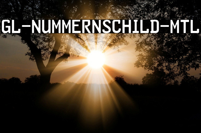 GL-Nummernschild-Mtl Example 1