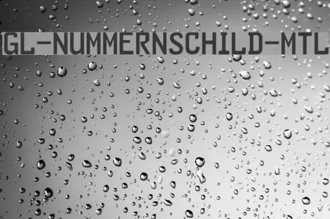 GL-Nummernschild-Mtl Font examples