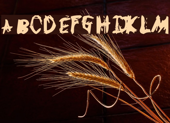 GL Scratchy Font examples
