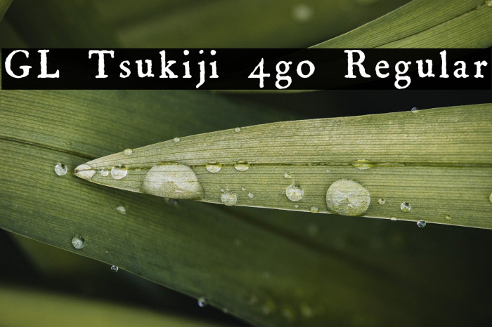 GL-Tsukiji-4go Regular Example 1