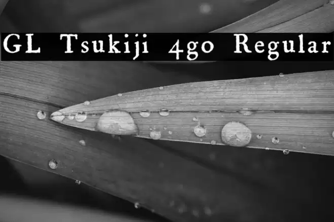 GL-Tsukiji-4go Regular Font examples
