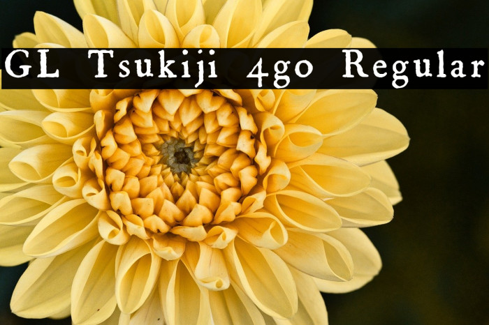 GL-Tsukiji-4go Regular Example 2