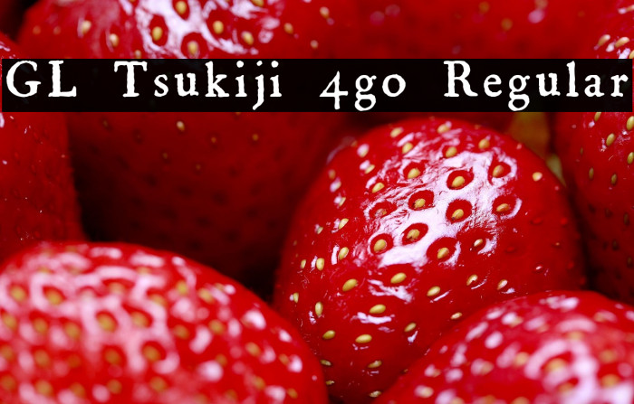 GL-Tsukiji-4go Regular Example 3