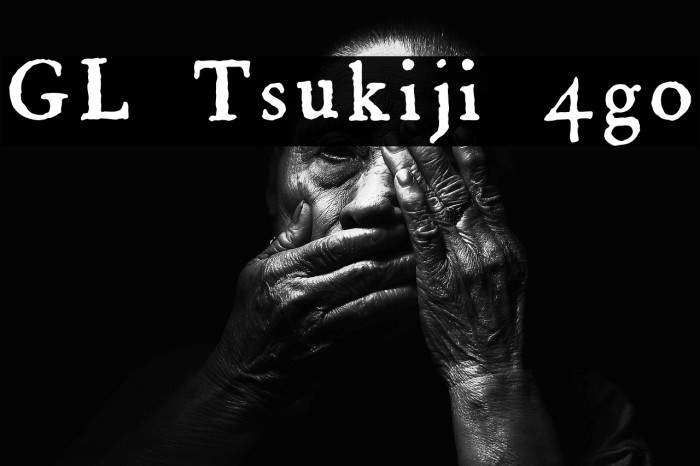 GL-Tsukiji-4go Example 1