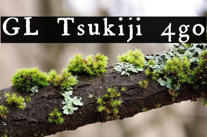 GL-Tsukiji-4go Example 2